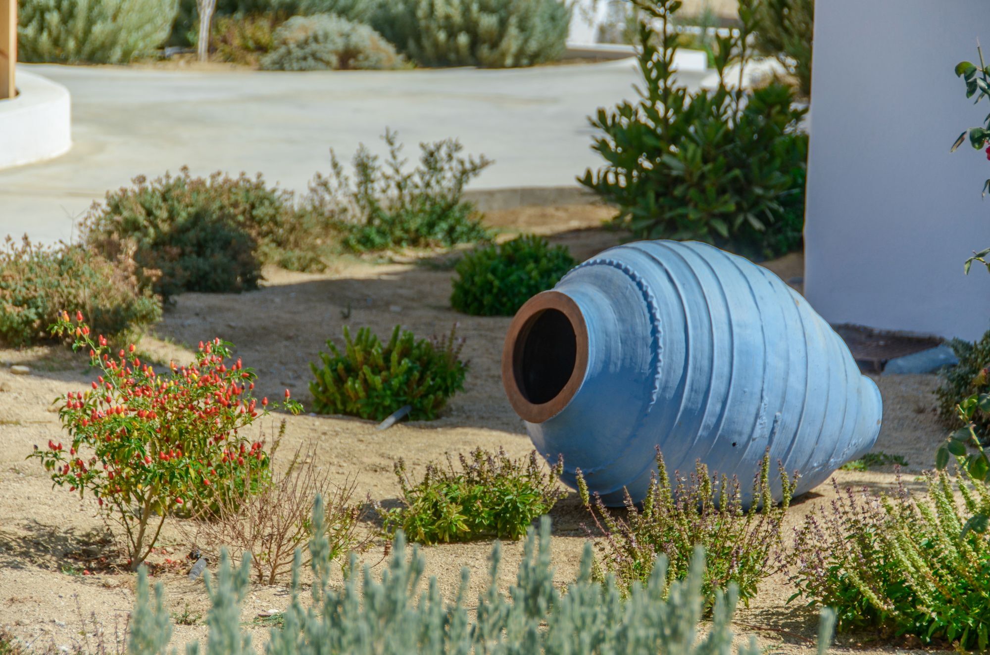 Natura Villas In Naxos Mikri Vigla Zewnętrze zdjęcie